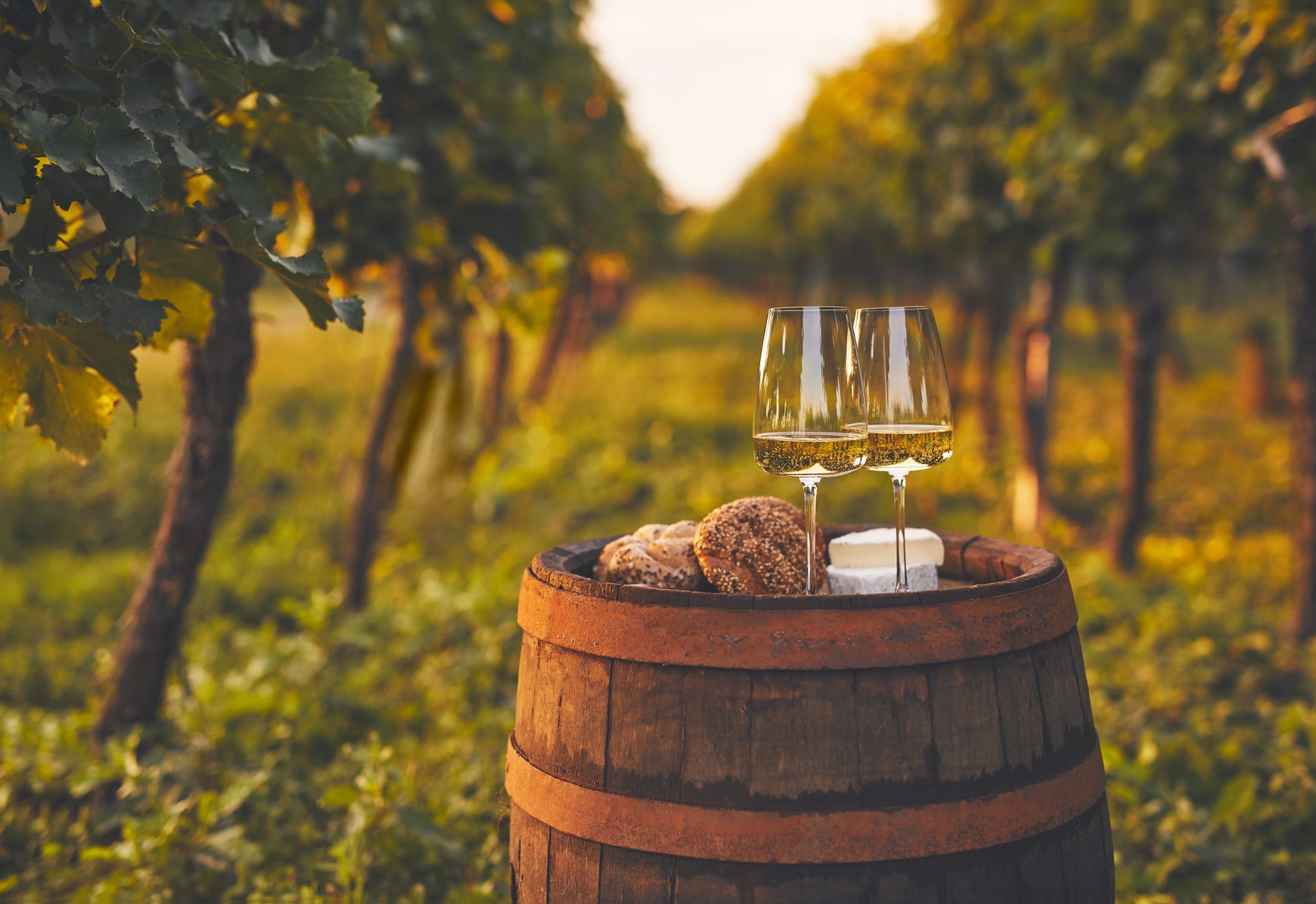 Lorem ipsum dolor sit amet, consectetur adipiscing elit